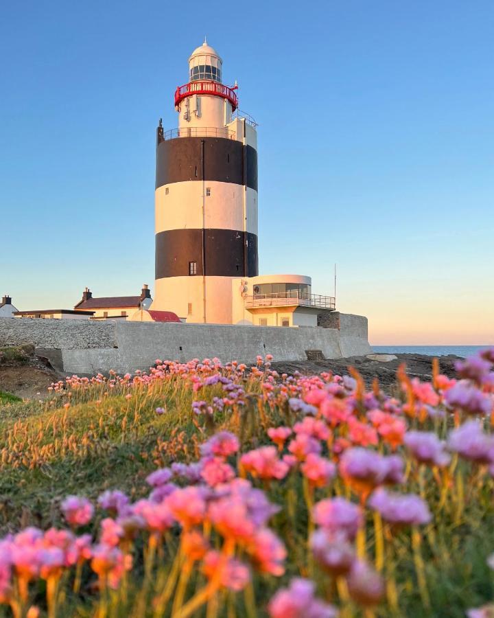 Thistledown Lodge Fethard on Sea Zewnętrze zdjęcie