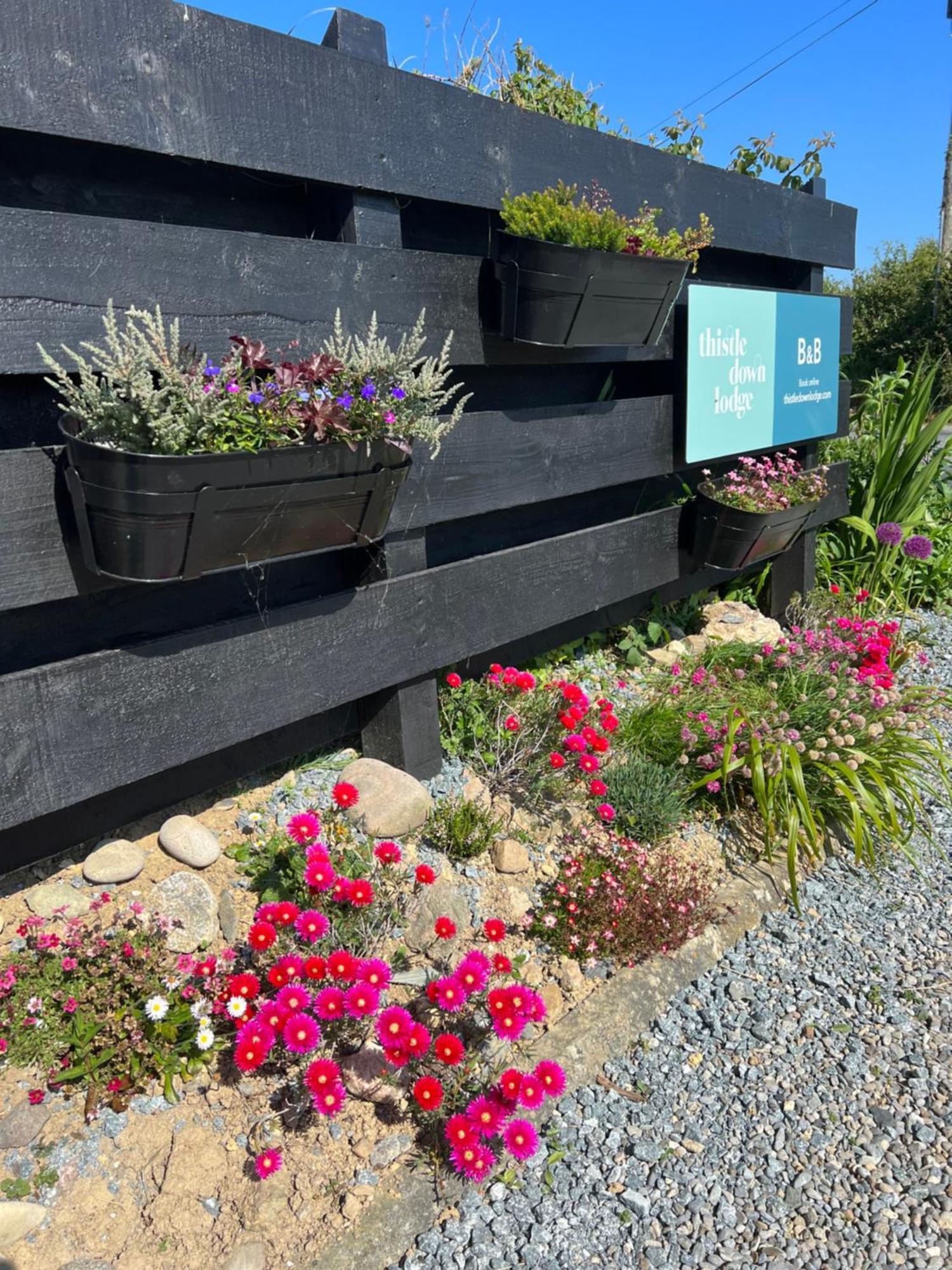 Thistledown Lodge Fethard on Sea Zewnętrze zdjęcie
